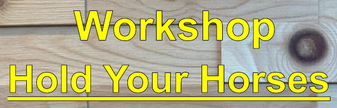 Workshop Hold Your Horses